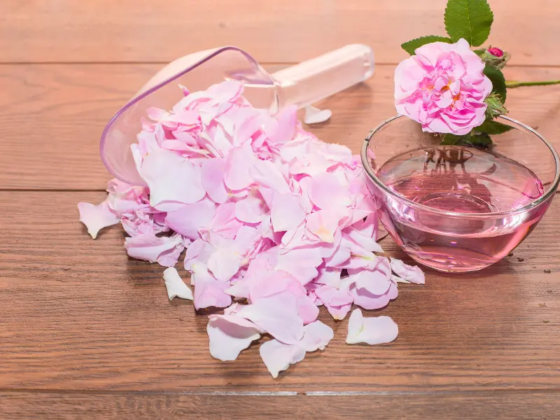 نحوه ترکیب گلاب و سرکه سیب برای پوست