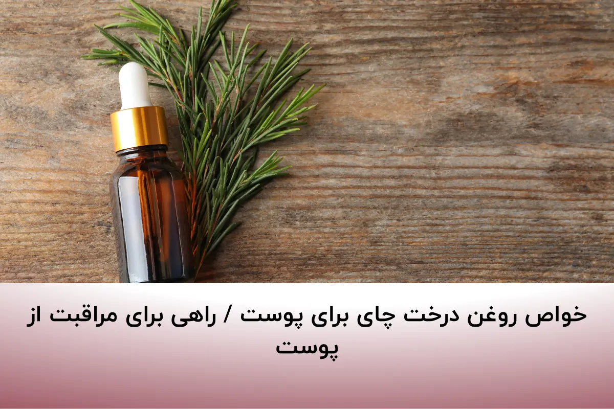 خواص روغن درخت چای برای پوست / راهی برای مراقبت از پوست